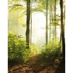 Smart 47221 Art Easy 2,12 x 2,70m non-woven kuvatapetti