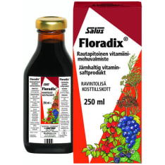 Salus Floradix 250 ml rautavalmiste