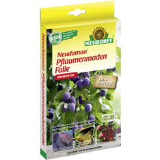 Neudomon Luumukääriäisansa