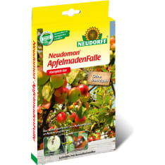 Neudomon Omenamatoansa