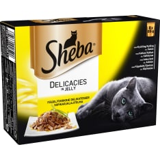 Sheba Delicato 8x85 g siipikarja hyytelölajitelma