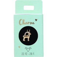 Trend Charms No. 21 Capricorn pendant