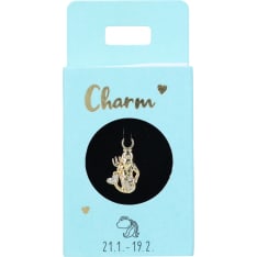 Trend Charms Nro22  Vesimies riipus