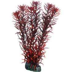 Hobby Eusteralis 20 cm akvaariokoristekasvi