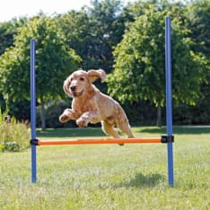 Trixie Agility hyppyeste