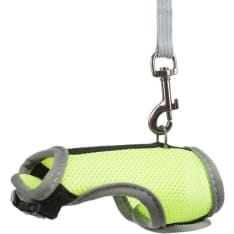 Trixie Rat and Ferret sand whale set