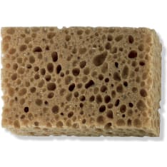 Colorexpert  15x10 cm kaakelisaumasieni
