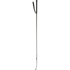 Dressage crop