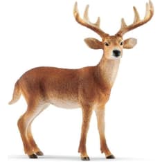 Schleich White-Tailed Buck