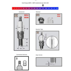 Champion spark plug 8698 Powersport