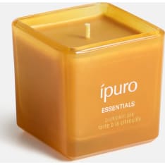 iPuro Pumpkin Pie Scented Glass Candle