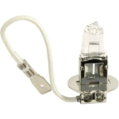 Polttimo 12v