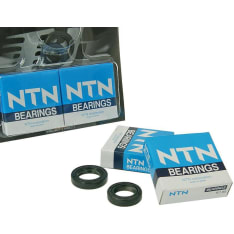 Naraku HD Peugeot scooter Frame bearings & oil seals