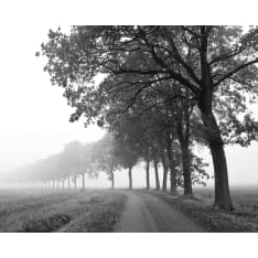 Lonely Road 40x50cm juliste