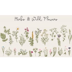 Wild herbs 30X40 poster