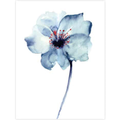 Blue flower 30X40 poster