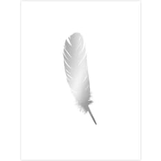 Silver feather 30X40 poster