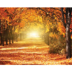Autumn 40x50cm poster
