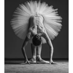 Posing 30x40cmcm poster