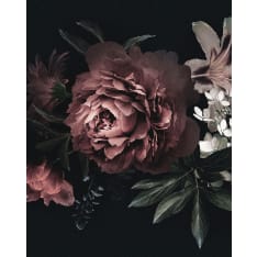 Floral Decoration 40x50cm juliste