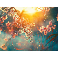 Spring blossom 30x40cmcm poster