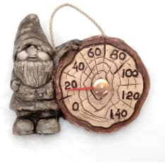 Timo Saunanhenki meter