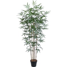 Home4you Bamboo 150 cm tekopuu