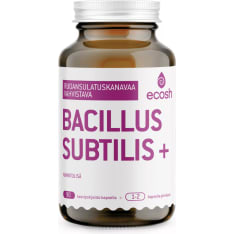 Ecosh Bacillus Subtilis + 90 kaps ravintolisä