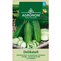 Kurkku Delikates siemen