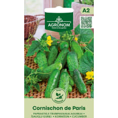 Cucumber Cornichon de Paris seed