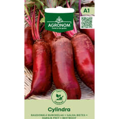Punajuuri Cylindra siemen