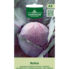 Punainen keräkaali Rufus siemen