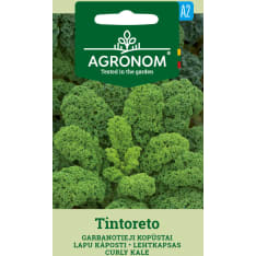 Lehtikaali Tintoreto siemen