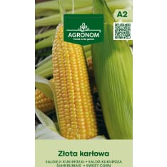 Sokerimaissi Zlota Karlowa siemen