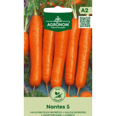 Porkkana Nantes 5 siemen