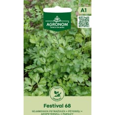 Persilja Festival 68 siemen