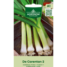 Purjosipuli De Carentan 2 siemen