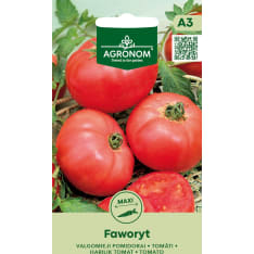 Tomaatti Faworyt siemen