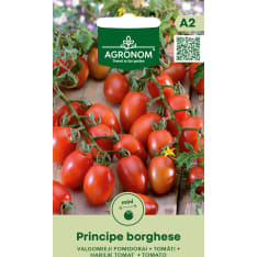 Tomaatti Principe Borghese siemen