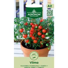 Tomaatti Vilma siemen