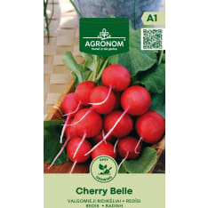 Retiisi Cherry Belle siemen