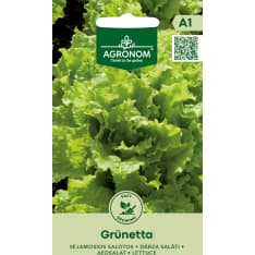 Salaatti Grünetta siemen
