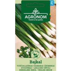 Valkosipuli Bajkal siemen