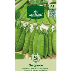 Sokeriherne  De Grace siemen