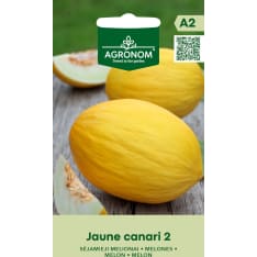 Meloni Jaune Canari 2 siemen