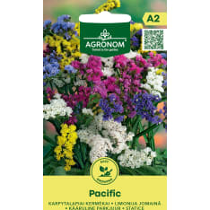 Sini-ikiviuhko Pacific siemen