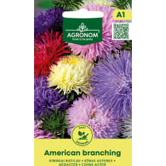 China Aster American Branching siemen