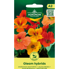 Isoköynnöskrassi Gleam Hybrids siemen