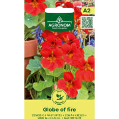 Koristekrassi Globe Of Fire siemen