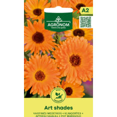 Kehäkukka Art Shades siemen